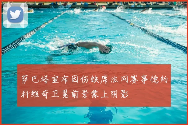 萨巴塔宣布因伤缺席法网赛事德约科维奇卫冕前景蒙上阴影