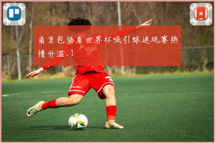 南京包场看世界杯吸引球迷观赛热情升温_1