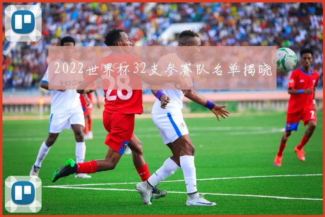 2022世界杯32支参赛队名单揭晓